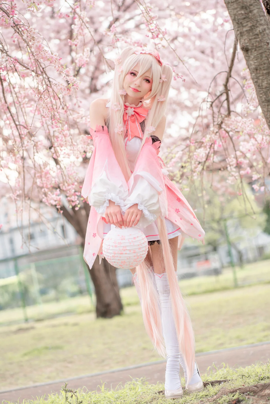 Peachmilky写真图片(3)